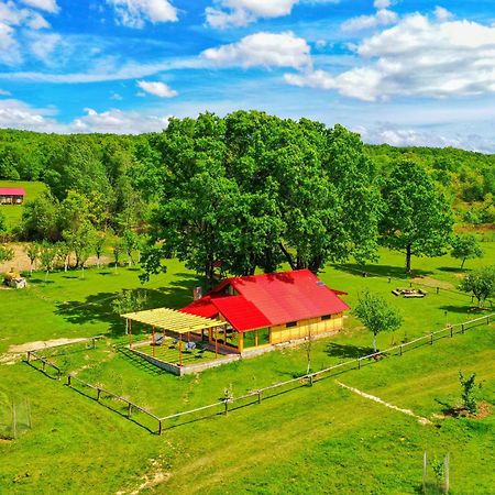 Vila Casuta Din Stejari-Transalpina Novaci-Străini Exteriér fotografie