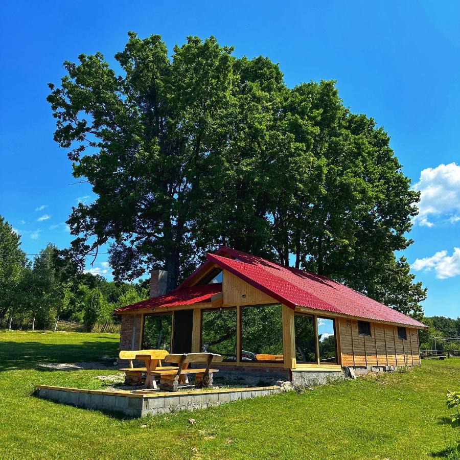 Vila Casuta Din Stejari-Transalpina Novaci-Străini Exteriér fotografie