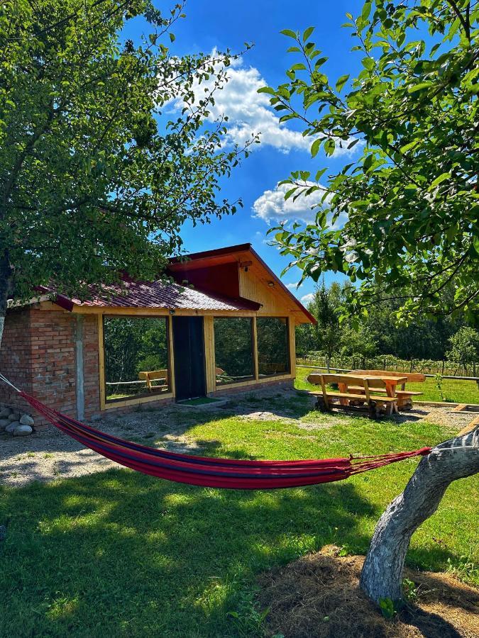 Vila Casuta Din Stejari-Transalpina Novaci-Străini Exteriér fotografie