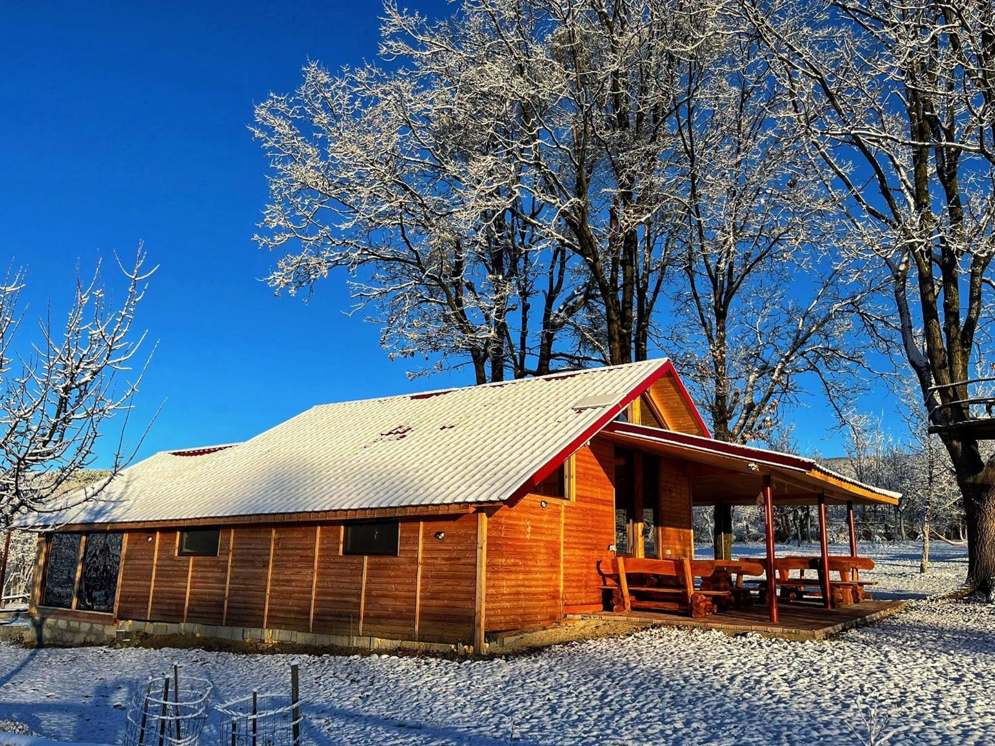 Vila Casuta Din Stejari-Transalpina Novaci-Străini Exteriér fotografie