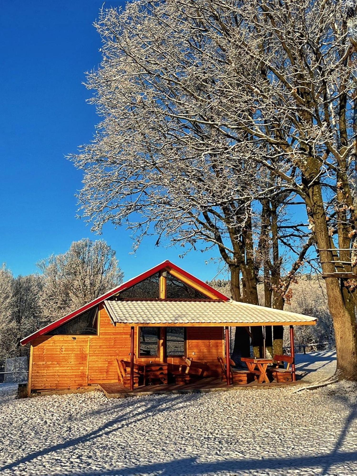 Vila Casuta Din Stejari-Transalpina Novaci-Străini Exteriér fotografie