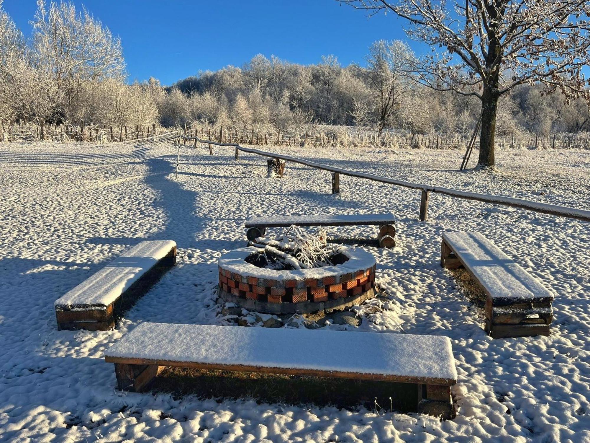Vila Casuta Din Stejari-Transalpina Novaci-Străini Exteriér fotografie