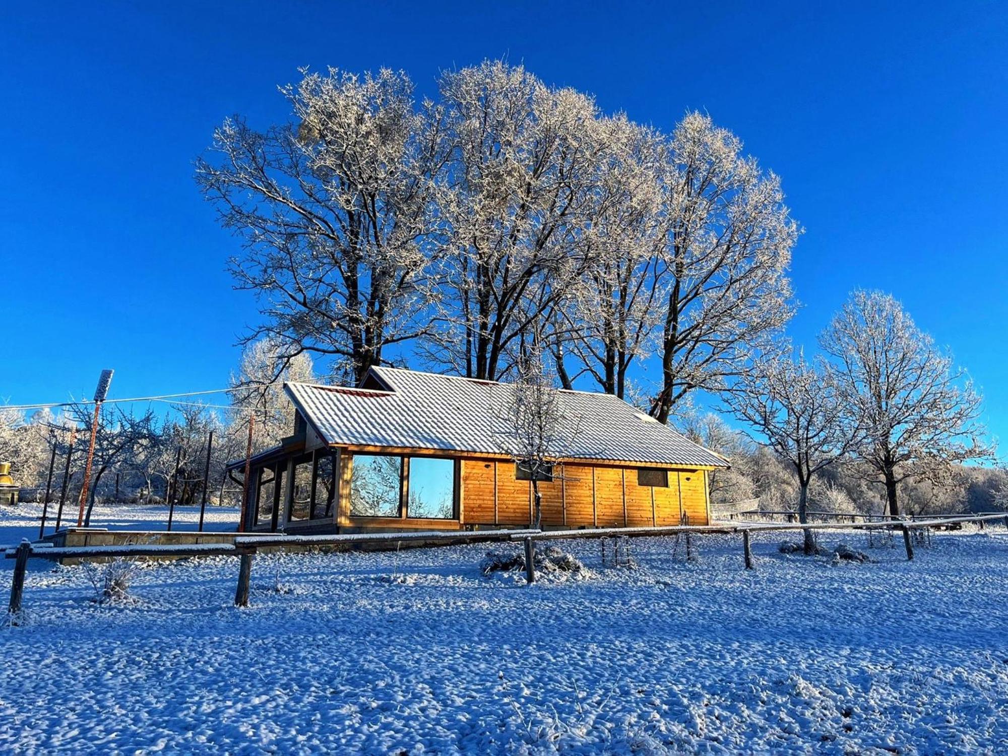 Vila Casuta Din Stejari-Transalpina Novaci-Străini Exteriér fotografie